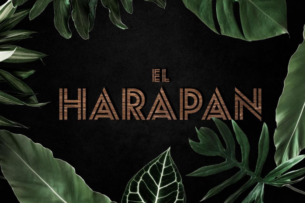 El Harapan - Sumergete En Una Selva A Pie De Playa - Grupo Querbes Gijón Eksteriør billede